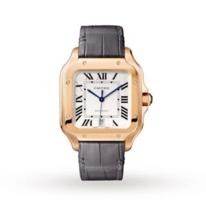 Replica Cartier Santos de Cartier Men Automatic Silver Alligator Watch WGSA0019