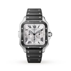 Replica Cartier Santos de Cartier Men Automatic Silver Rubber Watch WSSA0017