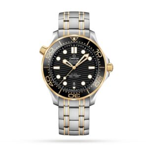 Replica Omega Seamaster Men Automatic Black Gold Plated Watch O21020422001002