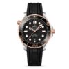 Replica Omega Seamaster Men Automatic Black Rubber Watch O21022422001002